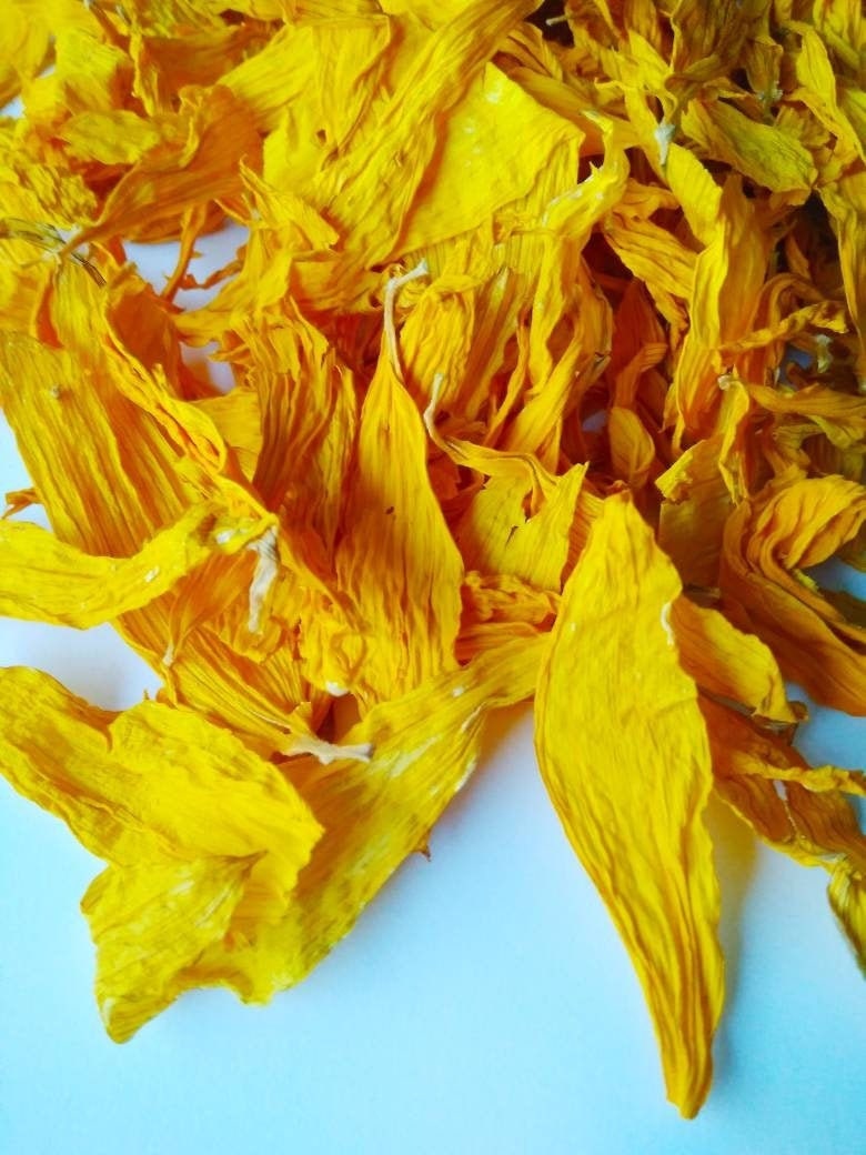 Sunflower Petals Dried Sunflowers Yellow Dried Petals - Etsy