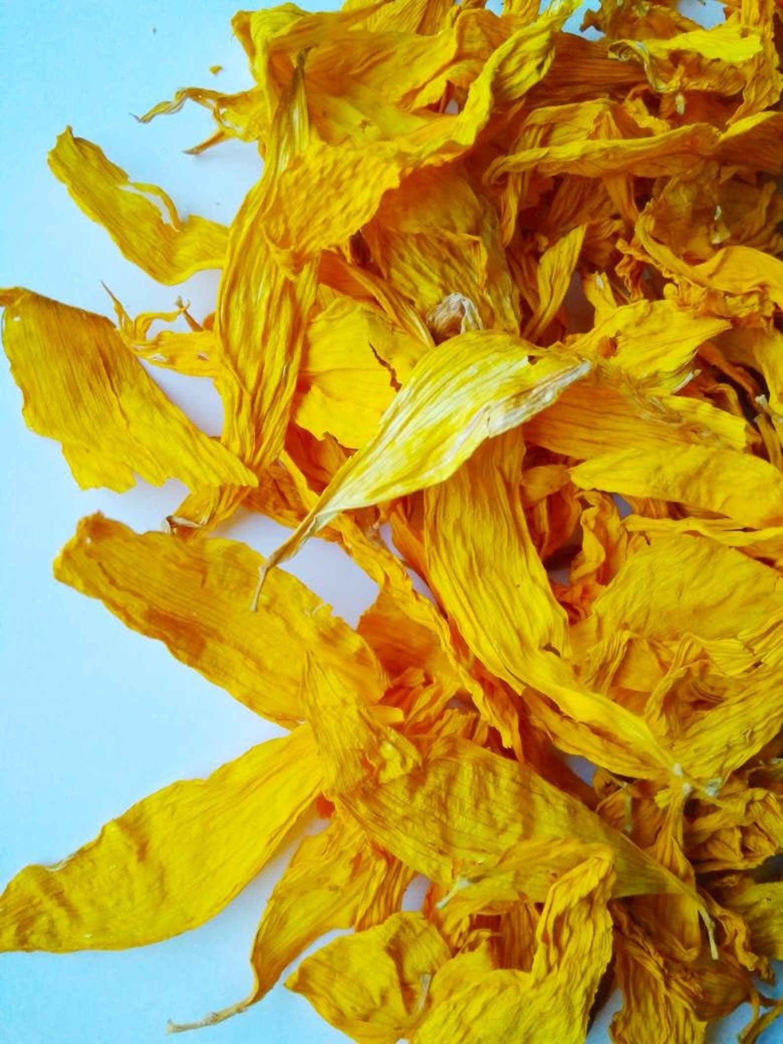 Sunflower Petals Dried Sunflowers Yellow Dried Petals Etsy