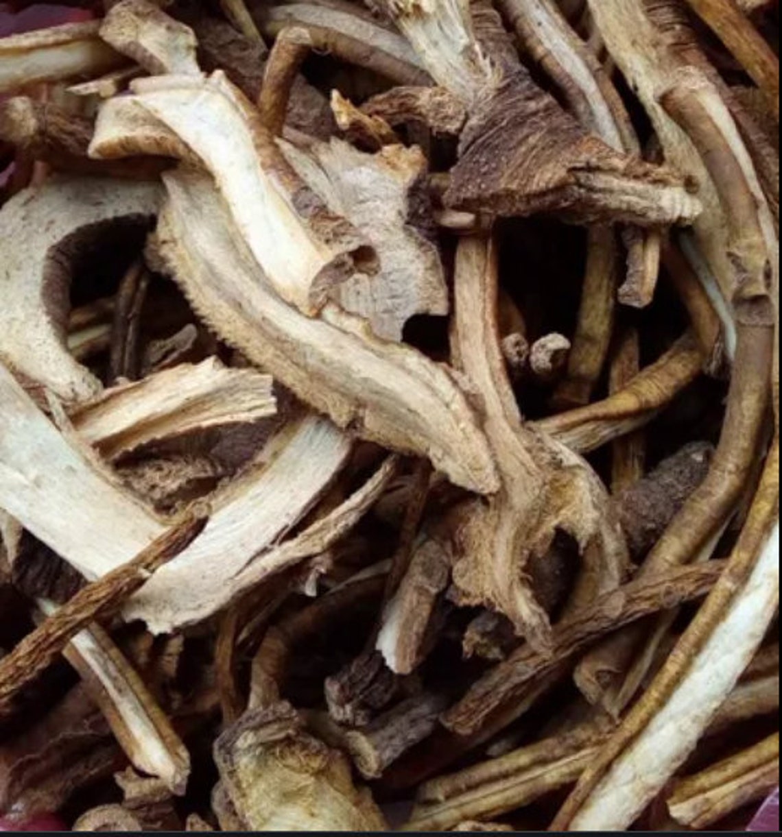 Radice di genziana Gentiana Lutea radice GIALLA genziana Etsy