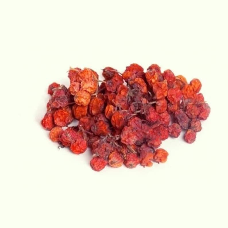 Dried Rowan Berries Whole Rowanberries Sorbus Aucuparia Etsy Australia
