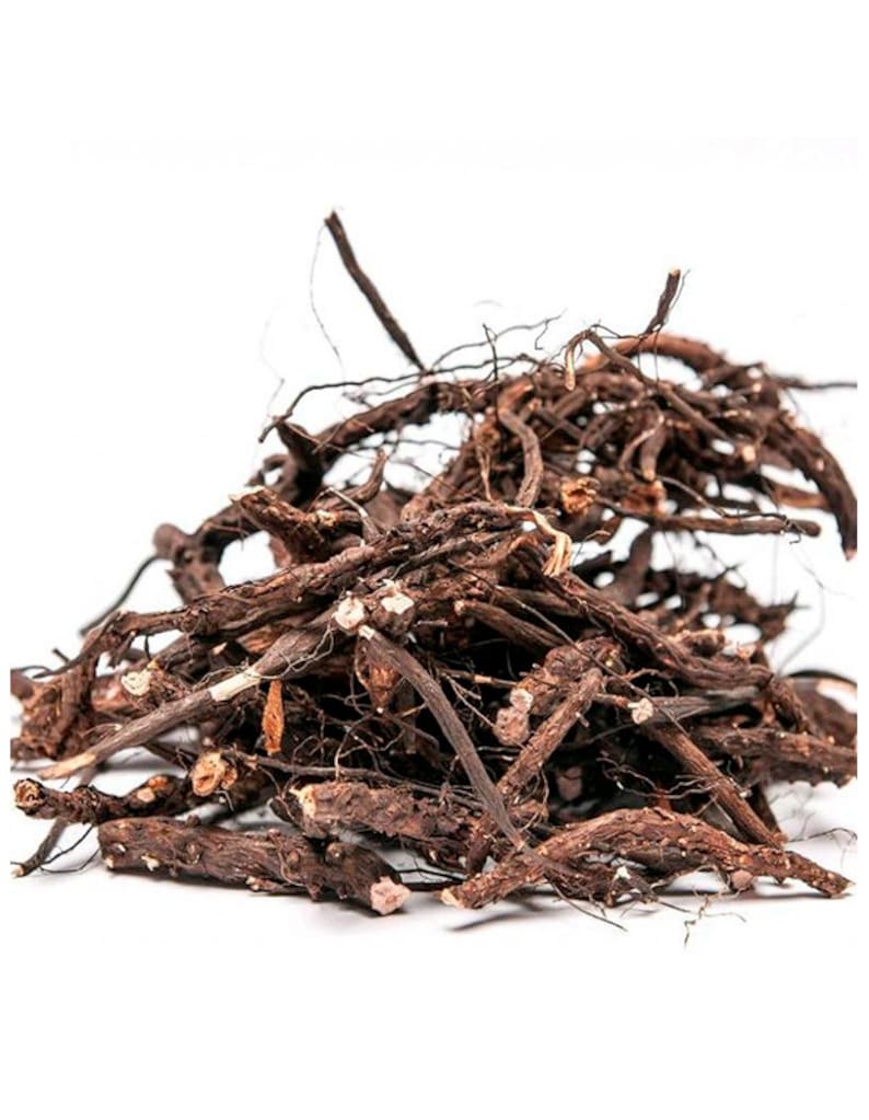 Dried Echinacea Purpurea Root - Organic - Etsy
