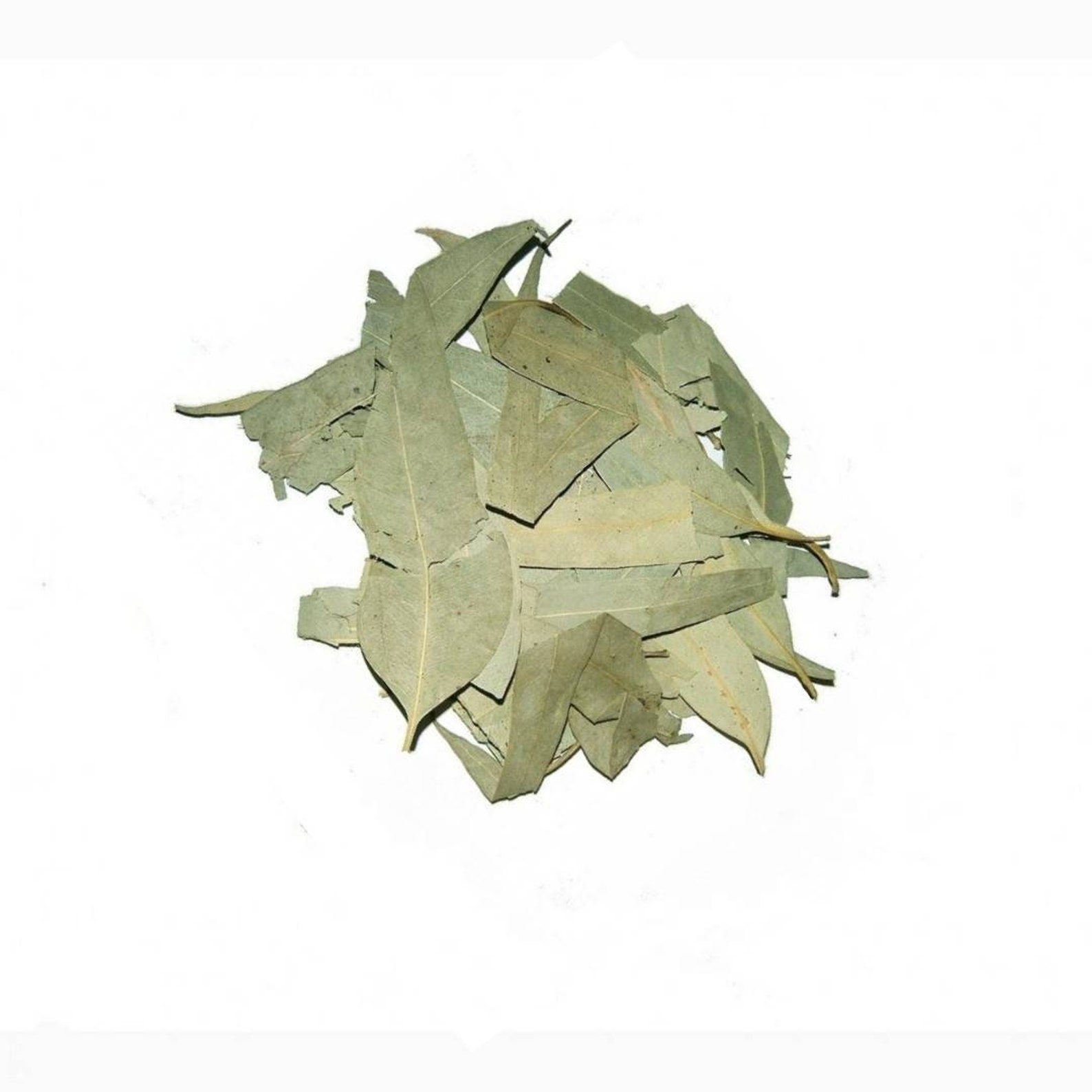 Eucalyptus leaves Dried Eucalyptus leaves Etsy
