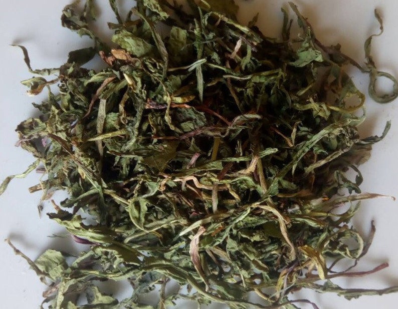 Dried Dandelion Leaf & Stems Taraxacum officials Organic Etsy