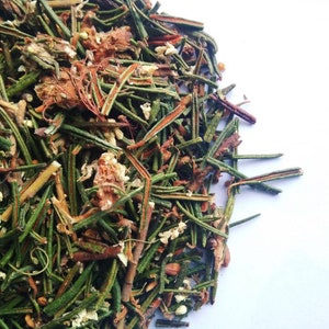 Marsh Labrador, Dried organic herb Ledum Palustre image 7