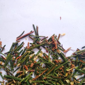 Marsh Labrador, Dried organic herb Ledum Palustre image 6