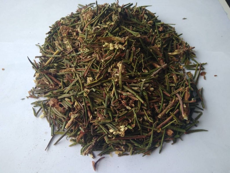 Marsh Labrador, Dried organic herb Ledum Palustre image 10