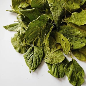 May include: A pile of dried green leaves on a white background.