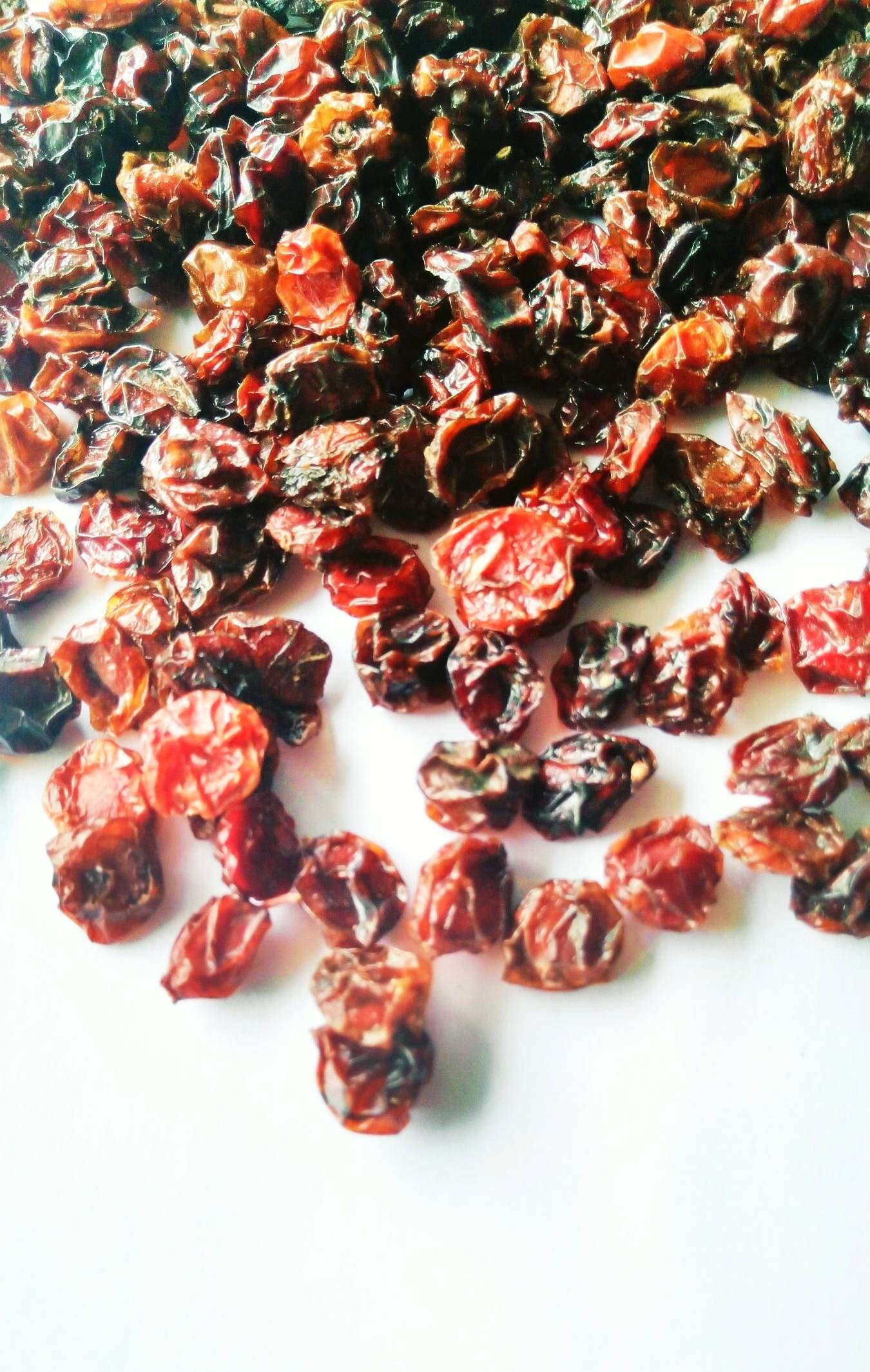 Viburnum berries Viburnum dried berries Guelder rose Dried Etsy 日本