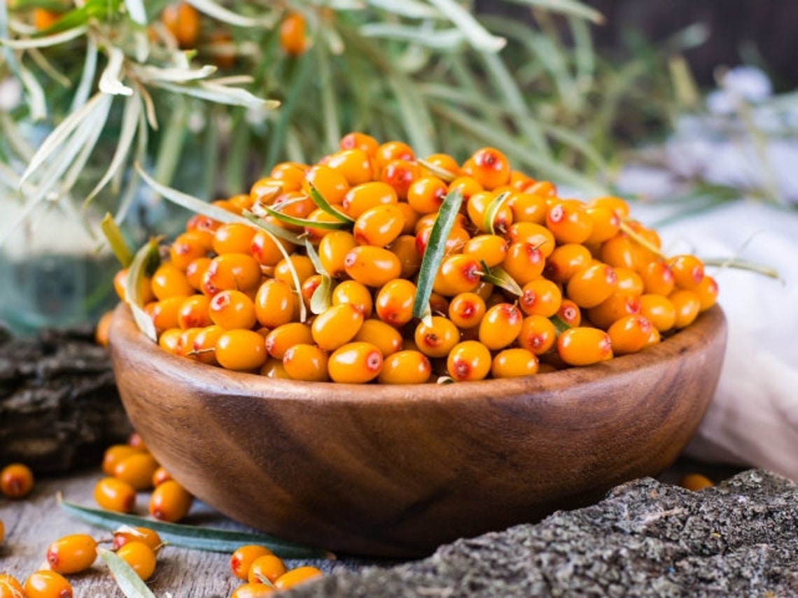 Sea Buckthorn 1lb Berries Dried sea buckthorn organic Etsy