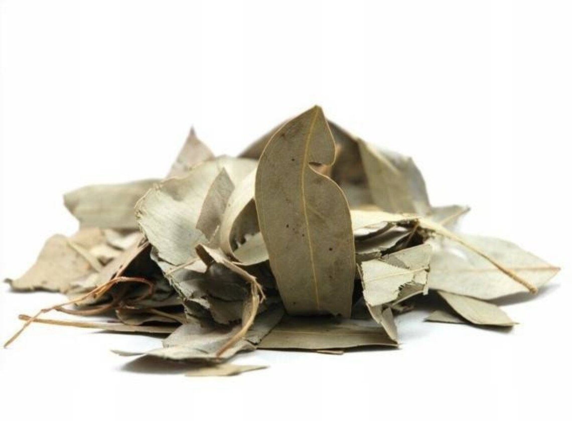 Eucalyptus leaves Dried Eucalyptus leaves Etsy