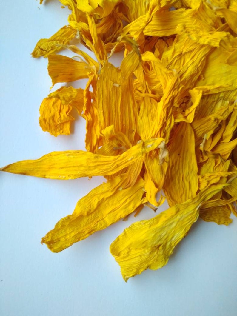 Sunflower Petals Dried Sunflowers Yellow Dried Petals Etsy