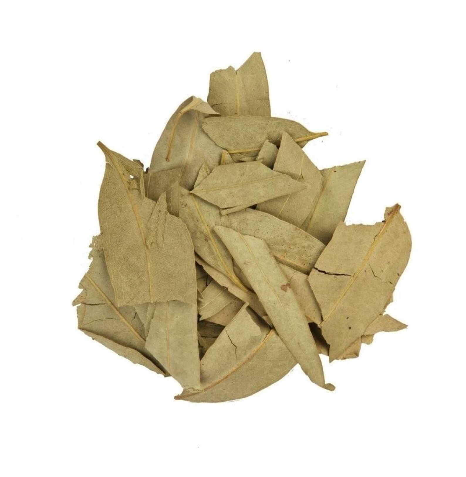 Eucalyptus leaves Dried Eucalyptus leaves Etsy