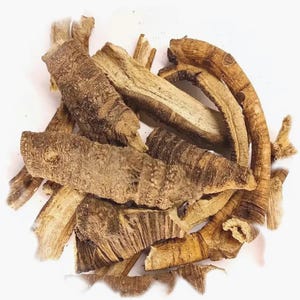 May include: A close-up shot of a pile of dried, light brown, and tan herbal roots. The roots have a rough, textured surface and vary in size and shape. The background is plain white.
