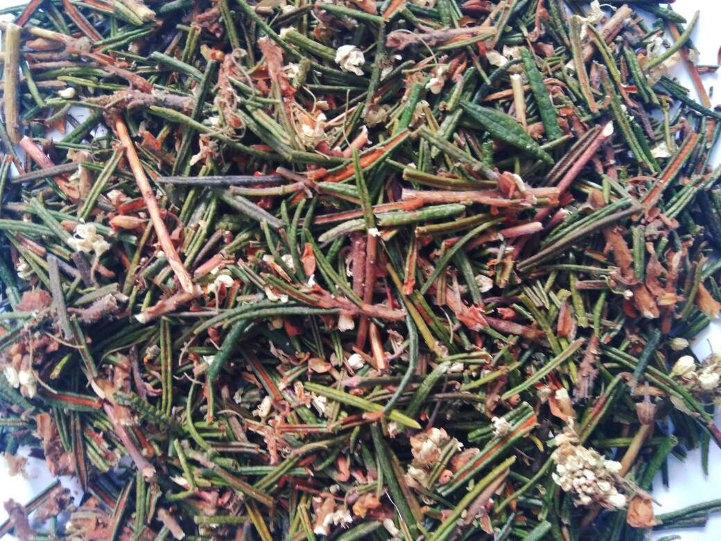 Labrador Marsh Marsh Labrador Herb: Wild-harvested Organic Tea, Natural Remedy - Etsy