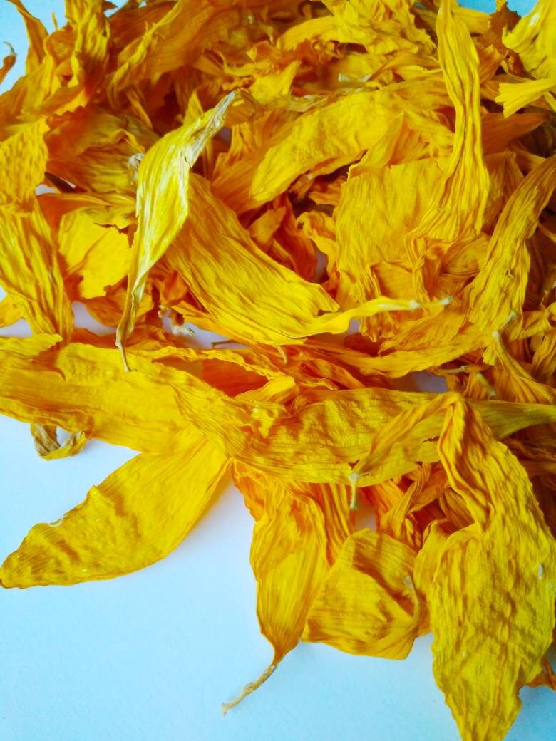 Sunflower Petals Dried Sunflowers Yellow Dried Petals Etsy