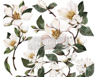 May include: A collection of watercolor-style magnolia flowers and buds on brown branches with dark green leaves. The white petals feature yellow centers and subtle pink shading. A rectangular logo with the text re-design with prima is visible.