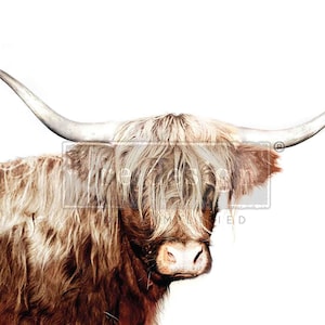 New! Decoupage Paper for Furniture MAJESTIC MOO || Redesign with Prima A1 Fiber Paper || Scottish Cow