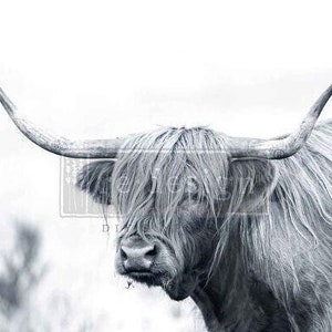 New! Decoupage Paper for Furniture SERENADE of SHAGGY || Redesign with Prima A1 Fiber Paper || Scottish Cows
