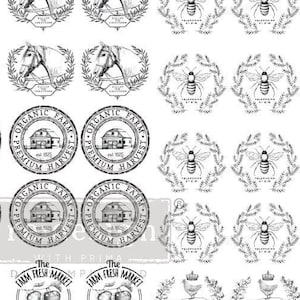 Knob Rub on Transfers for Furniture || Redesign with Prima || DIY Furniture Knobs