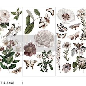 New! Rub on Transfers for Furniture and Crafting SECRET GARDEN || Redesign with Prima Small Decor Transfer || 3 Sheets || 6&quot; x 12&quot;