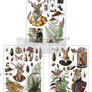 May include: Three digital printable sheets featuring whimsical illustrations of animals, insects, and plants. The first sheet features a deer wearing a yellow vest, mushrooms, and ferns. The second sheet features a deer, mushrooms, ferns, and a glass dome with plants. The third sheet features a rabbit, a zebra, a glass dome with plants, and a magnifying glass.