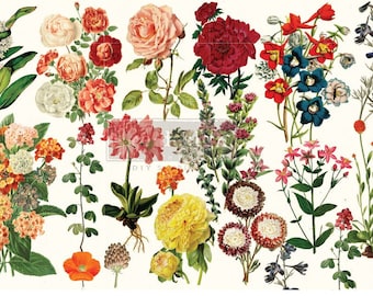 May include: A collection of botanical illustrations featuring various flowers including roses, peonies, and wildflowers in shades of red, pink, yellow, orange, and blue. The artwork displays detailed stems and green leaves on a white background.