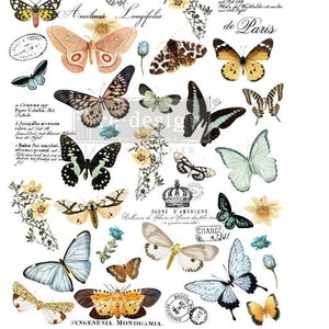 Furniture Transfers Butterfly Dance | Redesign with Prima Rub on Transfers for Furniture Decals | Wild Butterflies | Embellishments