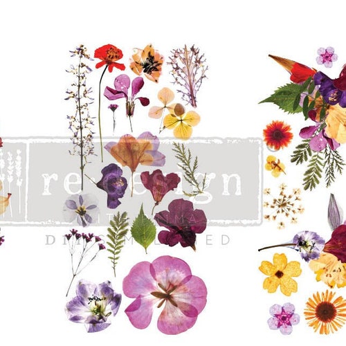 Rub on Furniture Transfers by Redesign With Prima MIDNIGHT Etsy