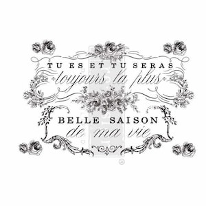 Beauty of Life Furniture Transfer *RETIRED* | Redesign with Prima Decor Transfers | Vintage French