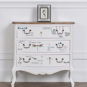 Rub on Furniture Transfers SPRING DRAGONFLY || Redesign with Prima || Transfers for Furniture || 3 Sheets || Dragonflies Script Decals