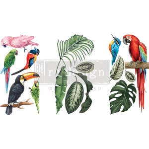 May include: A digital clipart set featuring tropical birds and leaves. The set includes a toucan, a parrot, a kingfisher, and a variety of green leaves.