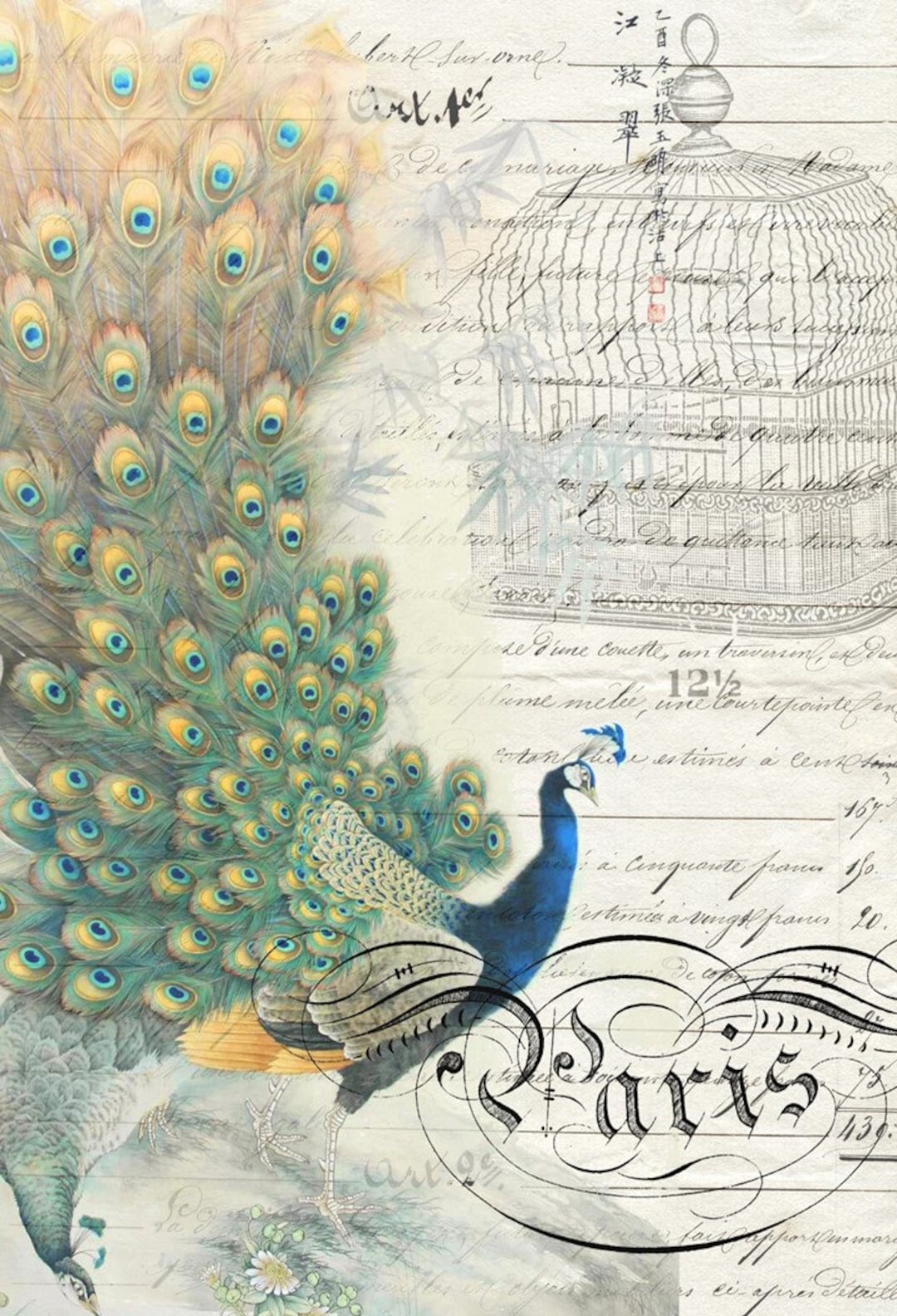 Decoupage Paper, PEACOCK EPHEMERA LEFT, 20x30, Roycycled Decoupage