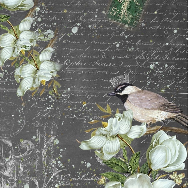 Decoupage Paper, SUMMER BIRD by Roycycled Treasures, Bird Tissue Paper, Decoupage Tissue Paper, Roycycled Paper 20X30", Vinatge Decoupage