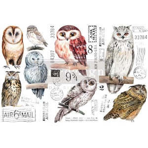 May include: A digital collage sheet featuring watercolor illustrations of owls with vintage airmail stamps and text. The owls are in various poses and colors, including brown, white, and gray. The stamps feature the text "Air Mail" and "Second Class Air Mail".