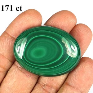 May include: A polished, oval-shaped malachite gemstone, displaying concentric bands of dark and light green. The stone is held in a hand, with the text "171 ct" in the upper left corner. The gemstone is approximately 1.5 inches long.