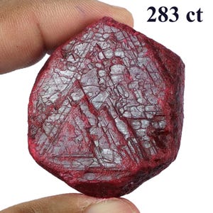 May include: A rough, deep red gemstone with a textured surface. The image shows a close-up of the stone, with the text "283 ct" in the upper right corner. The gemstone is held by a person's fingers.