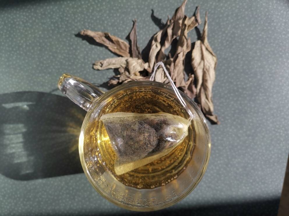 Bulukutu | Lippia Multiflora Moldenke |Sachets Individuelle