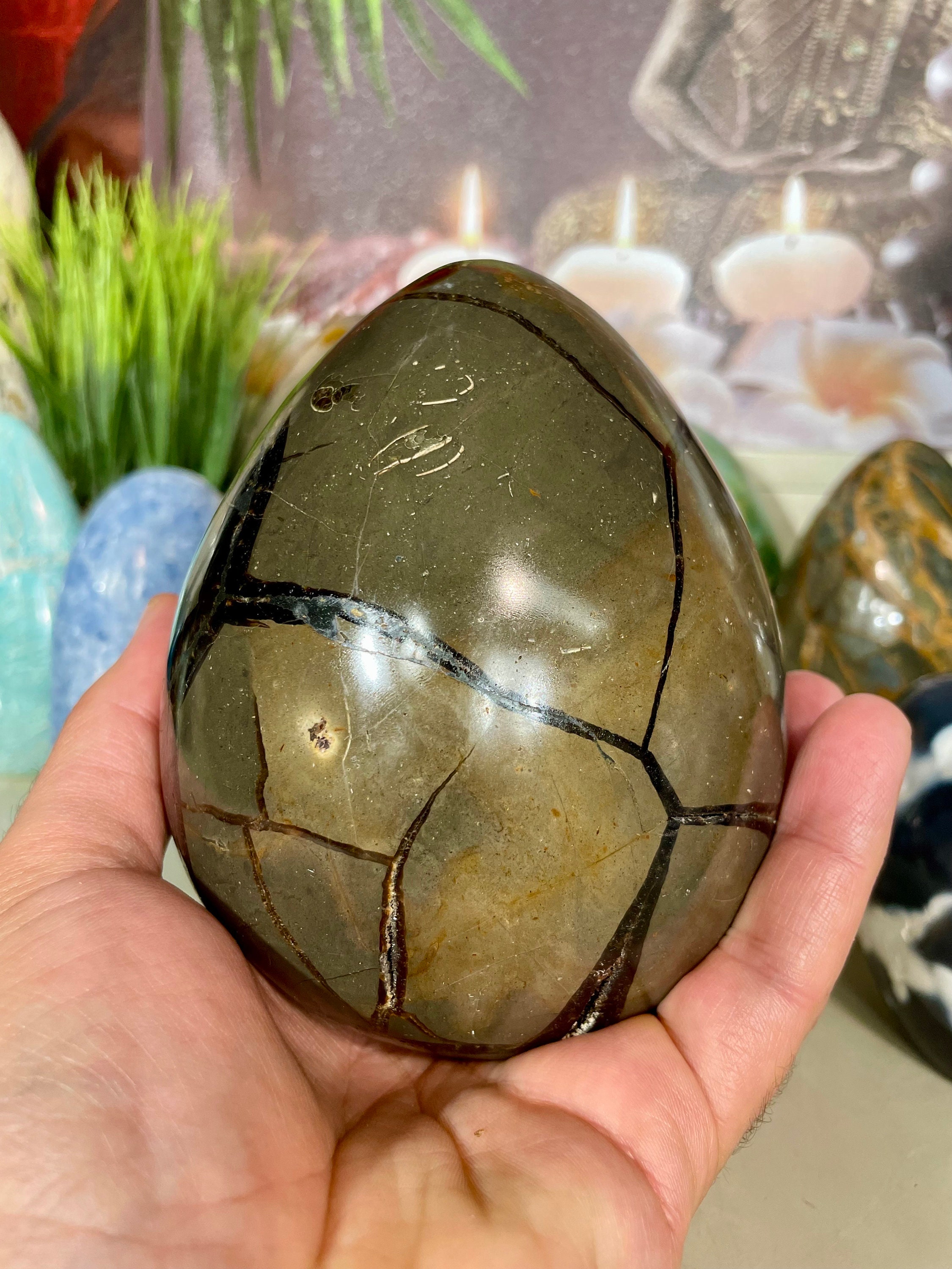 セプタリアン クリスタル エッグ ドラゴン ストーン デコレーション