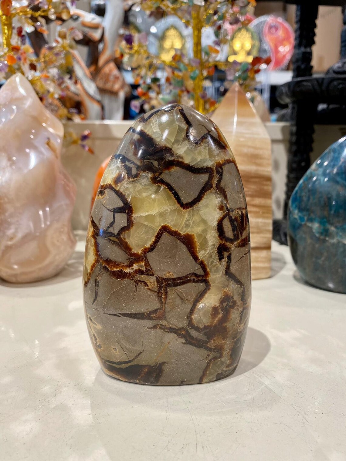 Septarian Crystal Dragon Stone Healing Crystals Dragon Eye Etsy