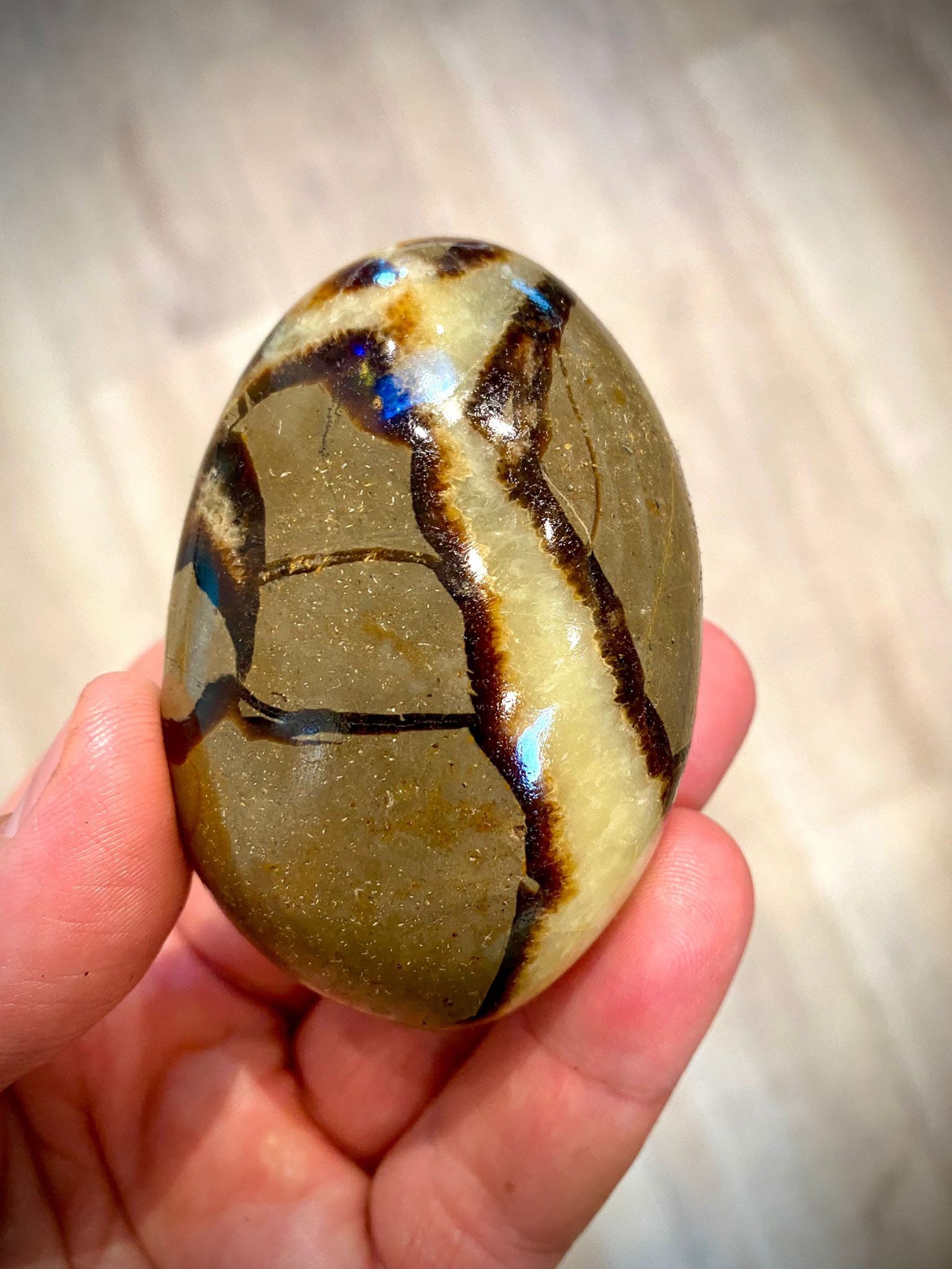 Septarian Crystal Dragon Stone Healing Crystals Yoga Reiki Etsy