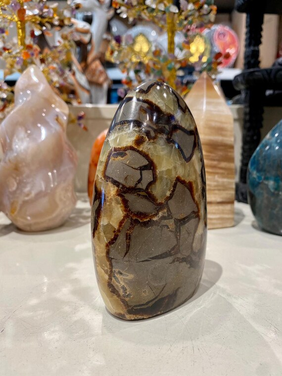 Septarian Crystal Dragon Stone Healing Crystals Dragon Eye Etsy