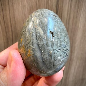Ocean Jasper Crystal Rock Stone Egg Shape Healing Crystals Yoga Reiki 3”
