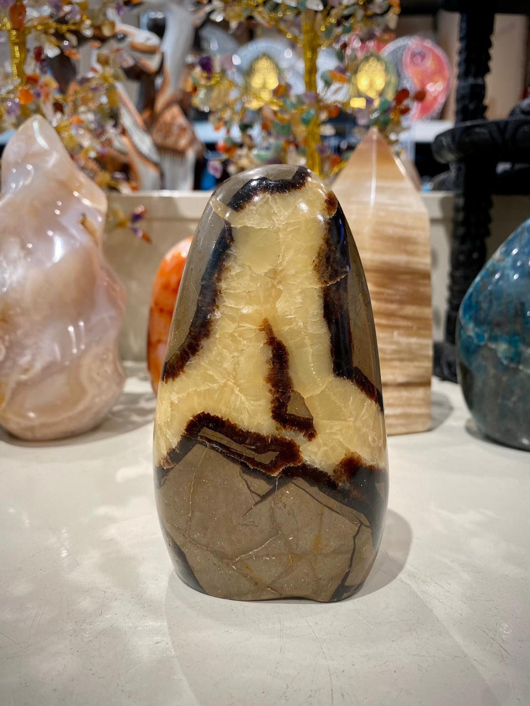 Septarian Crystal Dragon Stone Healing Crystals Dragon Eye 4 Etsy