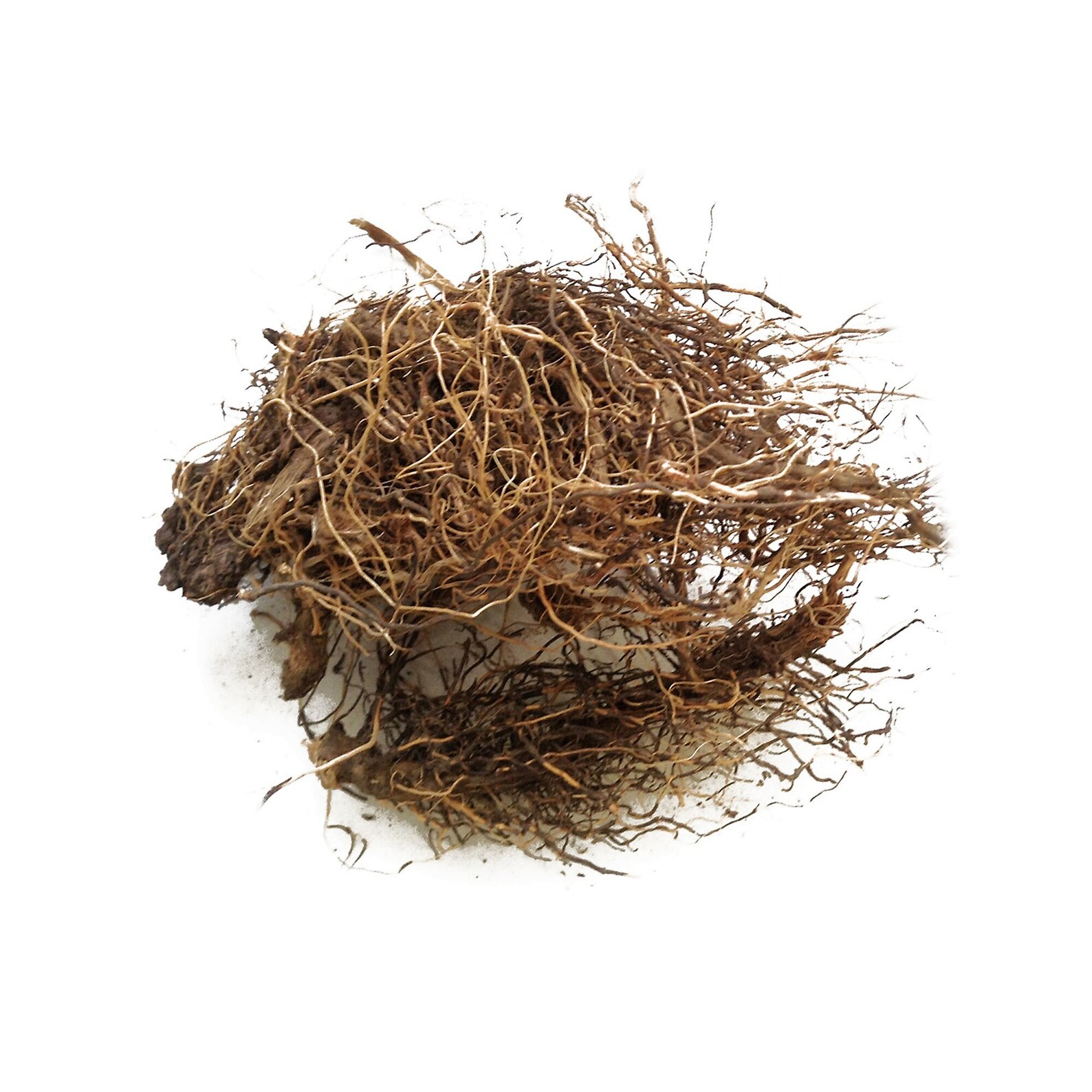 левзея сафлоровидная серпуха. левзея сафлоровидная корень. левзея сафлоровидная маралий корень. левзея сафлоровидная маралий корень. левзея сафлоровидная сырье.