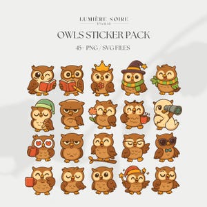 Owls Sticker Cliparts | 45+ PNG & SVG | Cartoon Style – Digital Download | Master Resell Rights