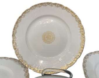 Plato de porcelana de Limoges de L. Strauss & Sons, 8,5 pulgadas