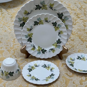 Zeldzaam groenblijvend servies van Myott Staffordshire &quot;Your Choice&quot;