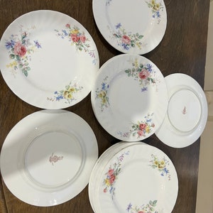 Arcadia (New,  Brown Backstamp) by ROYAL DOULTON Set Of 12 Butter / Dessert/ Appetizer Plates EUC