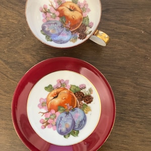 Saji Occupied Japan Fancy China Tasse und Untertasse Set Obstgarten Obst