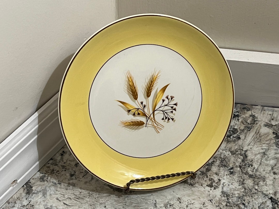 Century Service Alliance Ohio Semi Vitreous Autumn Gold Dinner Etsy